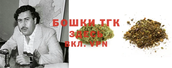 стафф Бородино
