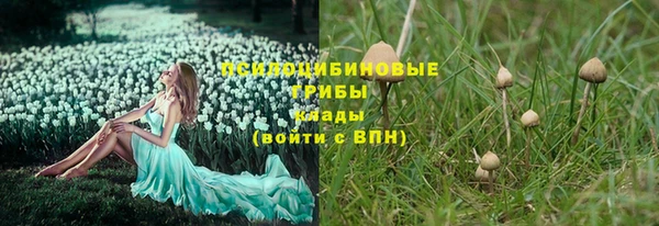герыч Бугульма