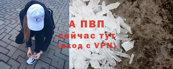 стафф Бородино