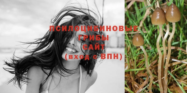 МДПВ Щигры
