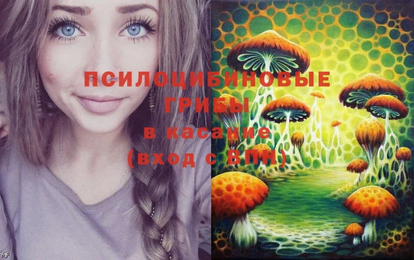 герыч Бугульма
