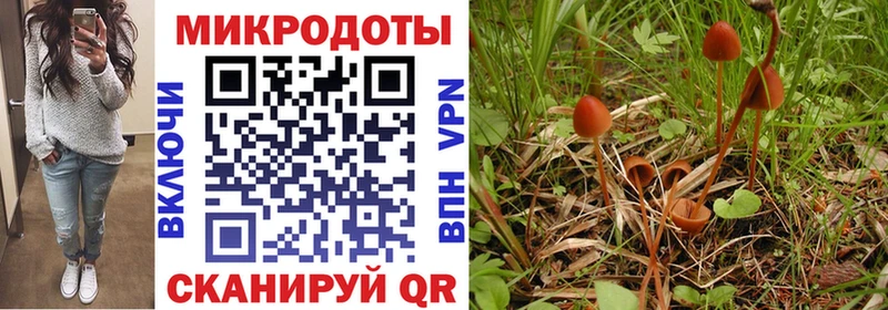 Галлюциногенные грибы Psilocybe Купить Зеленогорск